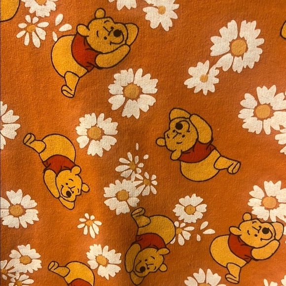 Rusty Orange Winnie the Pooh Crewneck Sweater Floral Print pit to pit 21 (331) - Picture 5 of 8